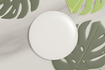 3d render top view of white blank cylinder frame for mock up and display products with shadows of palm and Monstera leaves. Creative idea concept. Green natural background.