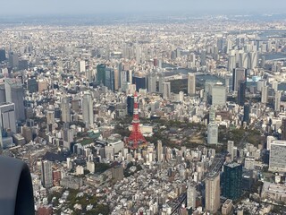 東京の景色 / A view of Tokyo from the sky