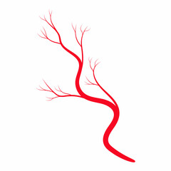 Human red vein. Vessel, capillaries, arteries, eye vein. Blood system. Concept anatomy element for medical science. Vector illustration