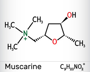 Muscarine or muscarin molecule. It is toxic alkaloid found in Amanita muscaria, fly fungus. Skeletal chemical formula.