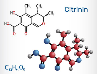 Citrinin molecule. It is antibiotic and mycotoxin from Penicillium citrinum. Structural chemical formula and molecule model.