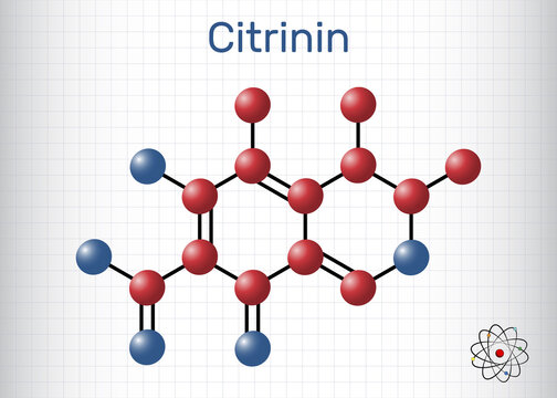 Citrinin Images – Browse 29 Stock Photos, Vectors, and Video | Adobe Stock