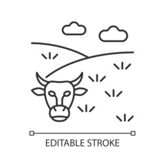 Pasture linear icon. Grassland and rangeland. Grass covered land type. Livestock grazing field. Thin line customizable illustration. Contour symbol. Vector isolated outline drawing. Editable stroke