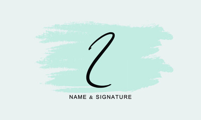 Elegant Initial Letter Type Z Logo With Brushed