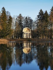 Obraz premium late autumn in Gatchina Park fallen leaves cold water