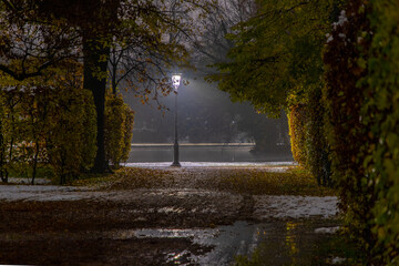 Street lamp with illumination in the ducal park of Parma at night between the hedges and the melting snow.  Parco Ducale - Parma