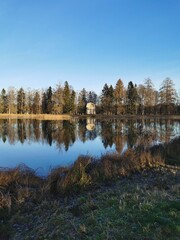 late autumn in Gatchina Park fallen leaves cold water