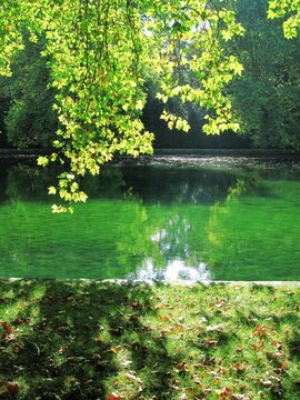 Bassin