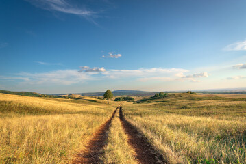 The road outside the city through the fields in nature.