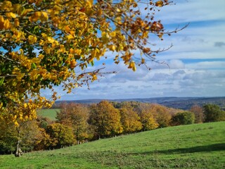Fototapeta na wymiar Herbstimpressionen