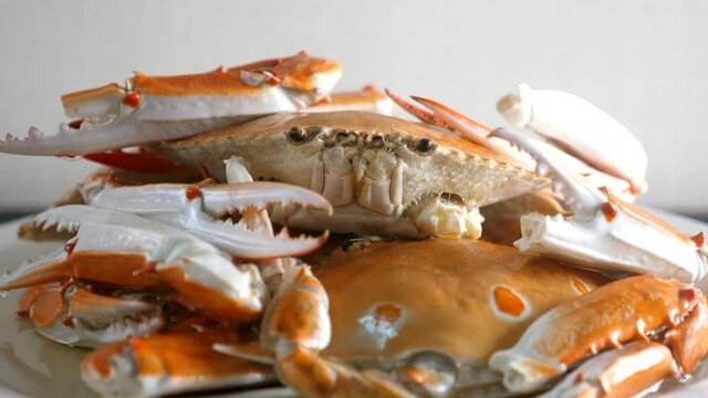 Close up of cooked steamed crabs on white plate with steam. Hot delicious gourmet whole shellfish blue swimming crab. Ready to eat crab meat on dish. Meat full of protein. Healthy seafood. 4k