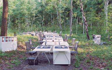 office in the forest.