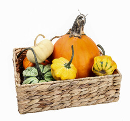 Wicker basket with pumpkins isolated on a white background.