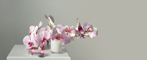 Pink phalaenopsis orchid flower in white bowl and burning candle on gray interior. Minimalist still...