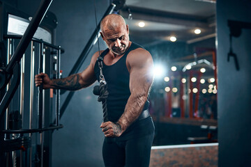 Fototapeta na wymiar Adult bald bodybuilder doing heavy weight exercise for triceps while in gym . Bodybuilding concept 