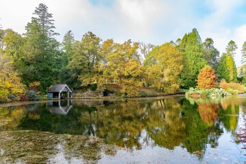 Fototapeta premium peaceful autumn landscape with lake and trees