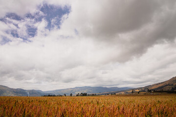 clouds over the agriculture of quinoa