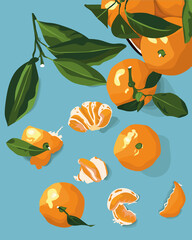 Fresh mandarins or tangerines with green leaves. Citrus fruit.  Orange citrus and green leaves, peeled fruits and slices. Vector illustration. Food background. Fruits for social networks, postcards.