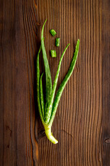 Aloe vera plant - green leaves for herbal skin care