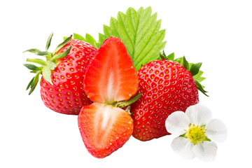 strawberries on a white background