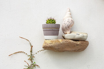 A stone shelf is fixed on a wall, on which there is a flower pot with cactus, pebble, and seashell