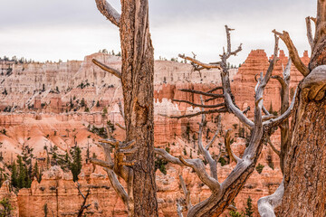 Scenic rocks from the Navajo Loop Trail leading through Bryce Canyon