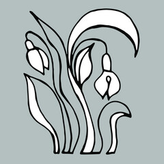 Snowdrop flower. Black and white vector