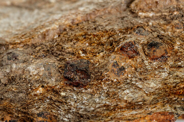 Macro stone Garnet mineral in rock on a white background