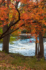 Flowing river surrounded by colorful red Fall foliage on College Campus