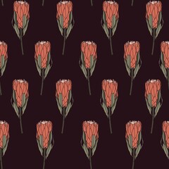 Fototapeta na wymiar Trendy line Protea, Leucospermum flowers and botanical garden seamless pattern, design for fashion, fabric, wallpaper and all prints on black background.