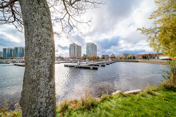 Barrie waterfront centennial park  lakeshore  path with green grass and fall colour trees   blue...