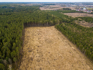 Top view of the forest plot after deforestation on a summer day. gereral plan