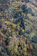 Mixed autumnal forest grows in a hollow under a limestone cliff