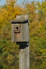 Close up of a Birdhouse in Autumn