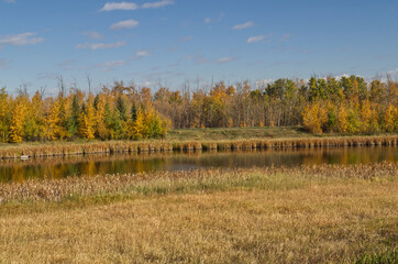 Pylypow Wetlands on a Clear Autumn Day