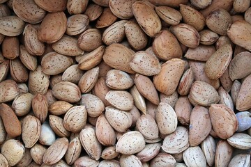 Obraz premium Almonds in shell freshly picked from the tree