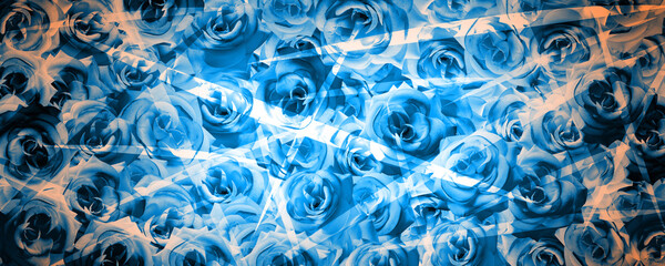 texture beautiful blue roses bouquet background, nature, template, banner, name card