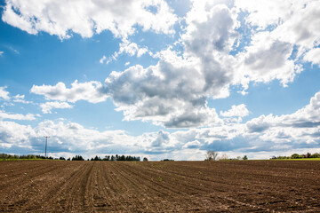 Big brown fields of fertile soil and the blue sky with white clouds