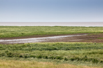 Obraz premium Flat salt marshes and the North Sea of North Germany