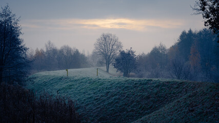 misty morning on flood embankment, grass covered with frost