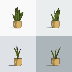 Fototapeta na wymiar snake plant flat vector illustration. combined with modern colors
