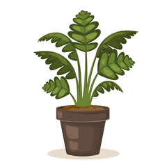 Indoor plant in flower pot. Houseplant isolated on white background. Home decoration.  Vector illustration.