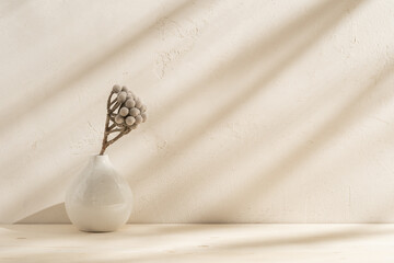 White round vase with dried branch against bright stucco texture wall with natural shadows and...