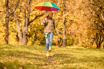 A girl with a bright umbrella in an autumn park