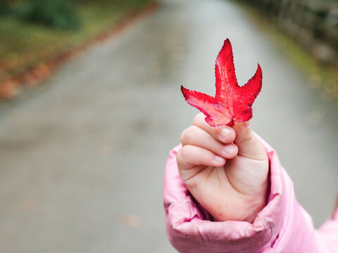 Girl with red maple autumn leaf in hand