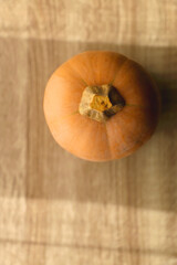 Butternut squash on the table, illuminated by sunlight. Top view.