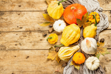 Colorful pumpkins and squash collection on wooden background