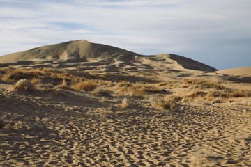 Fototapeta na wymiar Sand Dune in Mojave Desert 