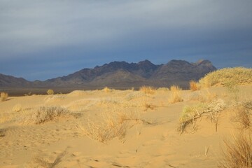 Fototapeta na wymiar Sand dunes at Mojave desert
