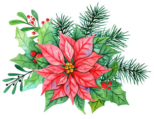 Watercolor Christmas bouquet with poinsettia holly branches, leaves, berries, pine, spruce, green holly branches on a white background. Christmas flower arrangement for greeting card, design, social